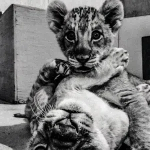 صلي على سيدنا محمد 