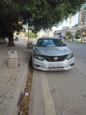 التيما 2017