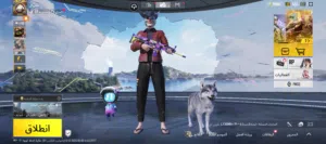 حساب بوبجي