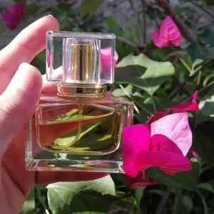 Perfumes . New3