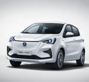 مطلوب شانجان E-star، دفعة 4000 والباقي أقساط 300