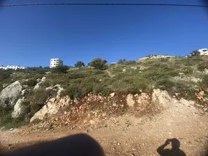 ارض للبيع في نابلس الجديدة