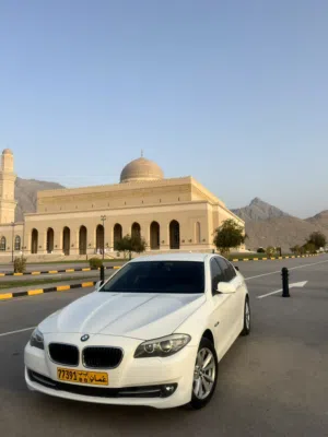 BMW 530i 2013 V6