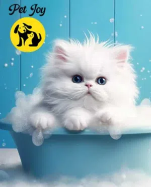 حمام قطط و كلاب خدمة احترافية حمامممم العيددد