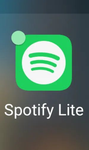 Spotify Premium Pendant 6 mois