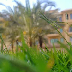 محمد حسين 