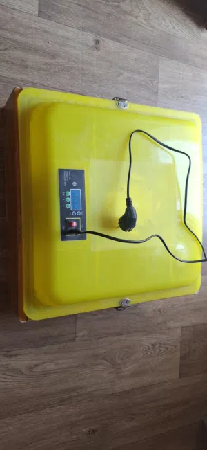 فقاصة دجاج وسمان وعصافير