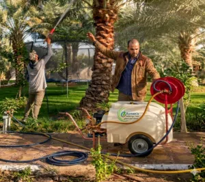 مرشات للتعقيم و مداوات الخضروات وغسيل الحلال