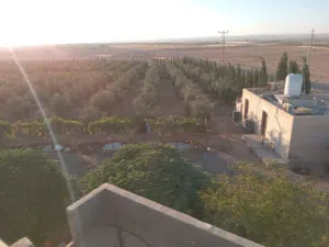 Mixed Use Land for Sale in Amman Al Jizah