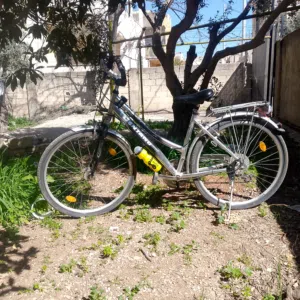 دراجه هوائيه نوع شيمانوا الماني اصلي رقم شاصي