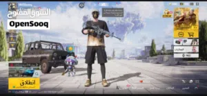 Pubg Accounts and Characters for Sale in Alexandria