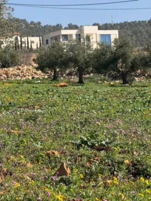 Farm Land for Sale in Jerash Other