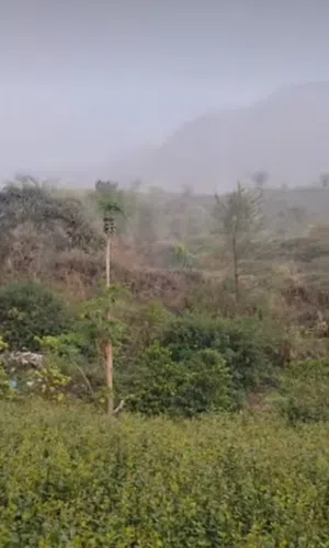 Farm Land for Sale in Ibb Other