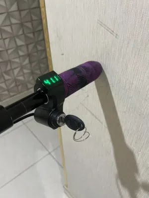 Winner electric scooter