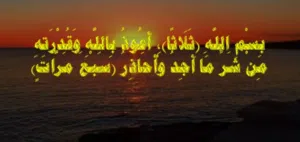 subhie 