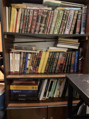 مكتبة مليئة بالكتب النظيفة