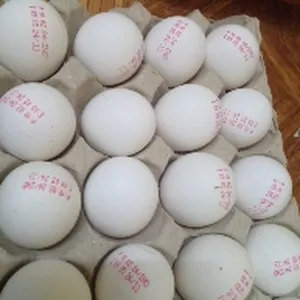 1 tray eggs for only 1bd