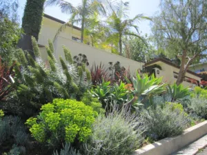 الحدائق المنزلية والمزارع الكبيره