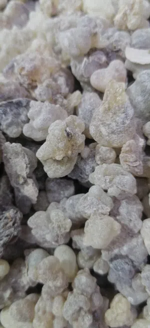 لبان حوجري للبخور ذو الريحه الزكيه عالي الجوده والسعر المناسب