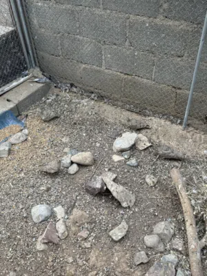 عشوي للبيع او للبدل مع شنا