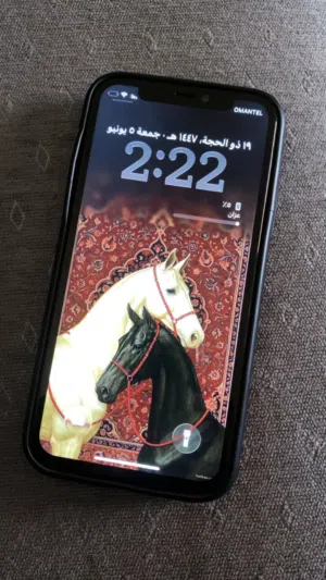 iPhone 11 Bro