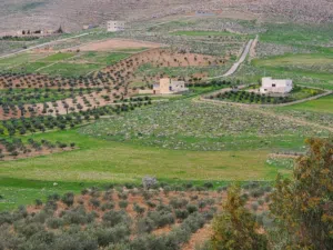 Mixed Use Land for Sale in Zarqa Sarout