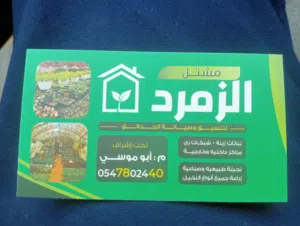 أبو موسي 