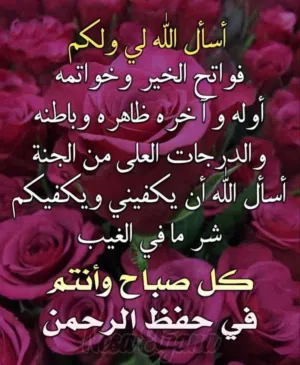 مطلوب سياره بالقسط الشهري