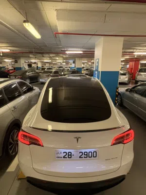تيسلا موديل واي y 22 لونق رينج دول موتر