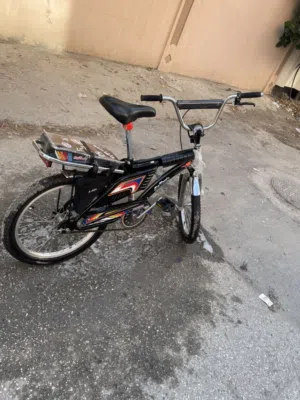 رامبو اسود نظيف للبيع