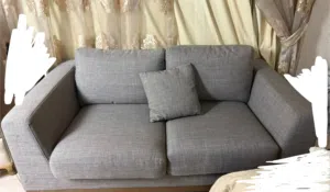 Sofa / grey color