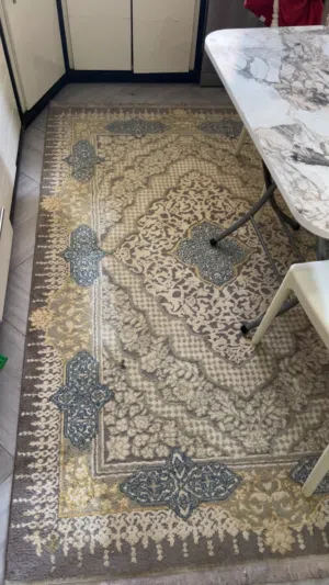 للبيع بدواعي السفر