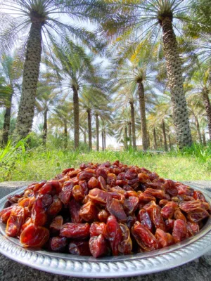 تمر خلاص ممتاز للبيع
