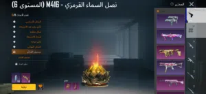 majidfahad