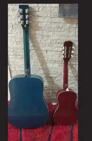 Karl Schneider and Fiesta guitars for sale