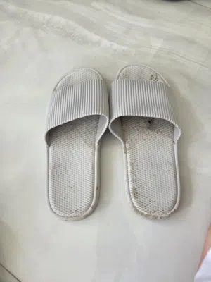 شب شب سلبر للحمام