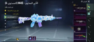 حامد 