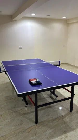 تنس طاولة ماركة Lifetop