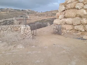 Mixed Use . 1800 m2 . Landlord2