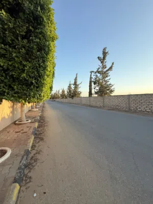 زوز هكتار مصورات للبيع في موسى كوسا بسعر كزيوني