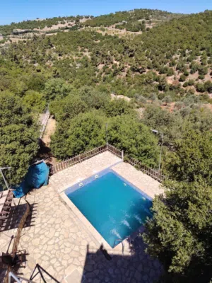 3 Bedrooms Farms for Sale in Jerash Sakib