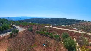 Residential Land for Sale in Amman Badr Jdedeh