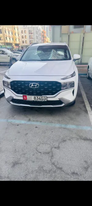 سنتاففيه 7 راكب