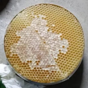 عسل شبواني جردان 