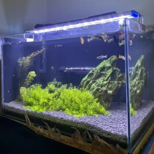 حوض سمك (30*30*50)