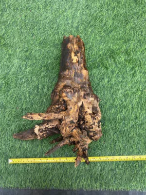 Driftwood دريفت وود