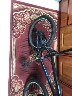 EMERGENCY MOVING SALE: 20-Inch Freestyle BMX Bike (Black & Blue) – Must Go!