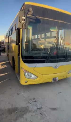 شنجان - صيني
