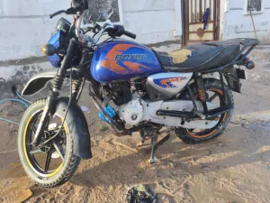 بوكسر للبيع رقم باسمي مديل 23
