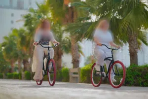 Brand: Big Shot (Europe Standards)